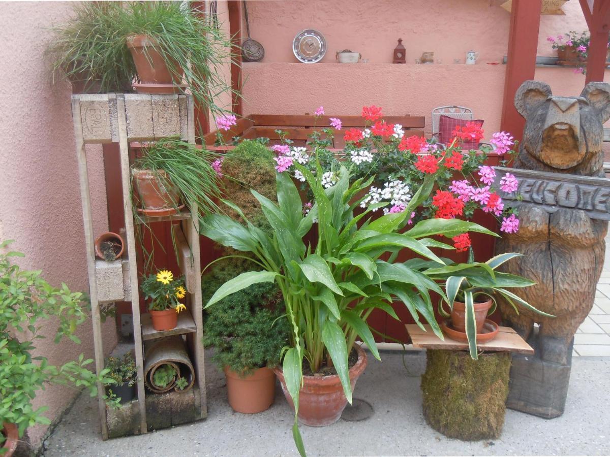 Apartment Teubner